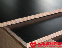 木模板的材料有哪些？各自有什么特點(diǎn)？